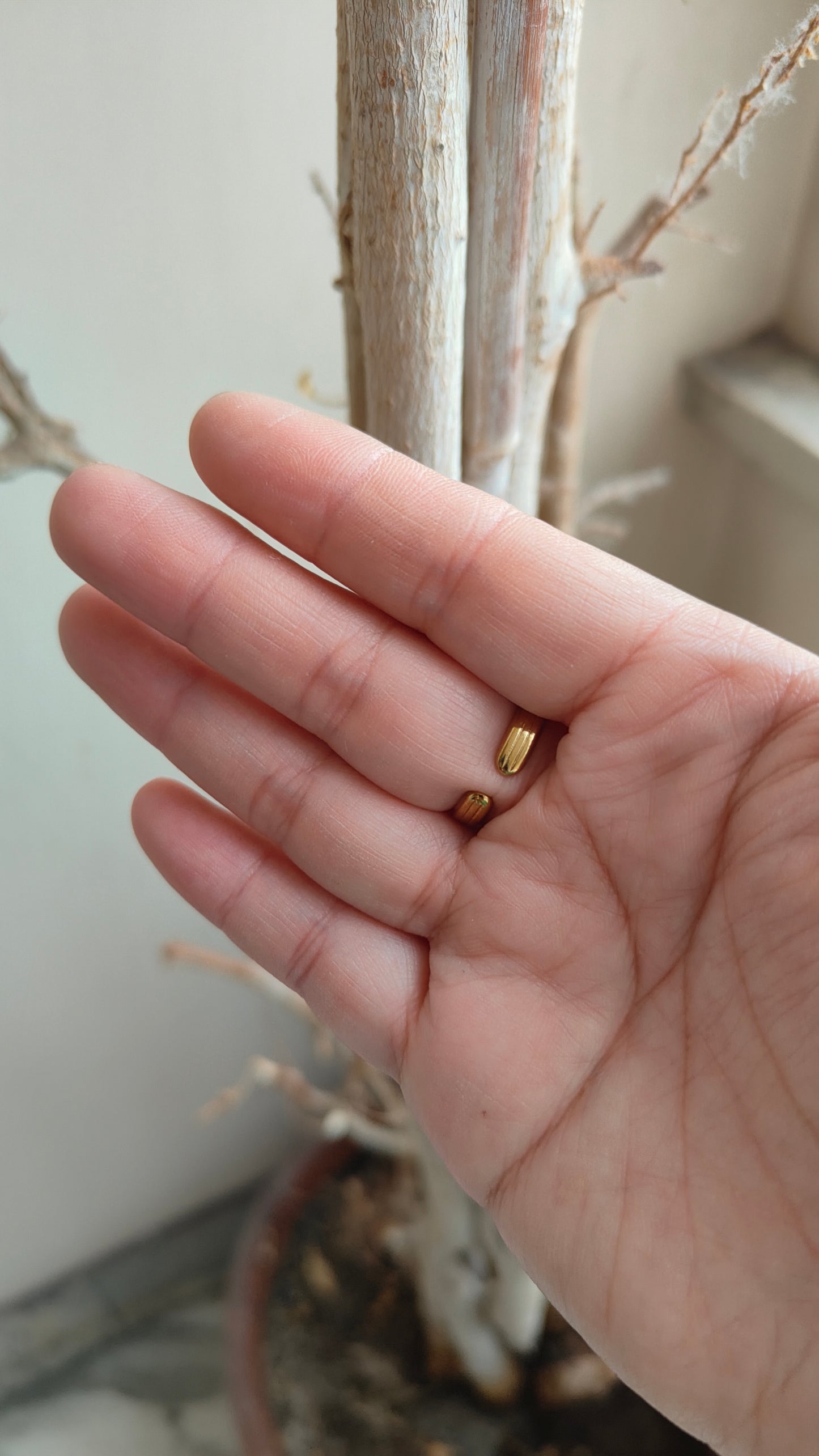 Anello Celeste