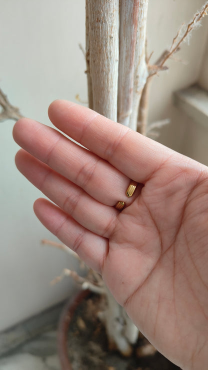 Anello Celeste