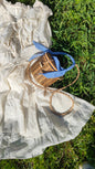 Cesta di viminico