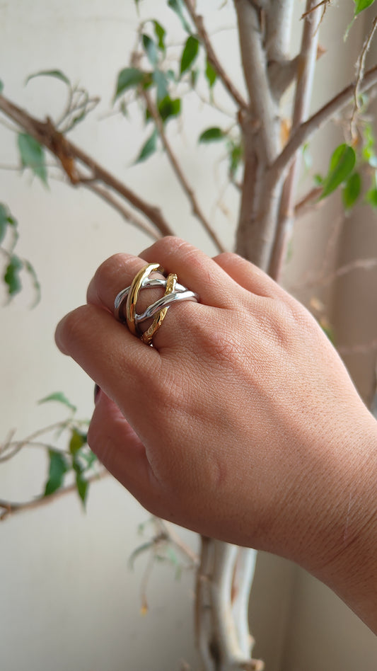 Anello Duo