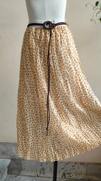 Completo Pois Lumière